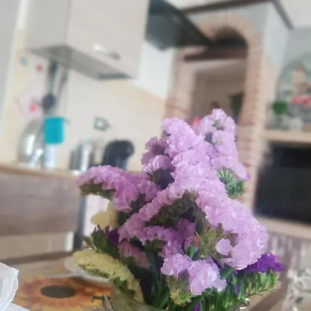 La Casa Dei Libri Sutri