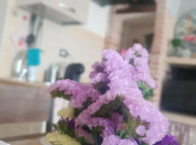 La Casa Dei Libri Sutri